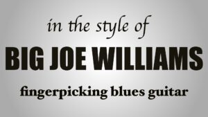 Big Joe Williams Style